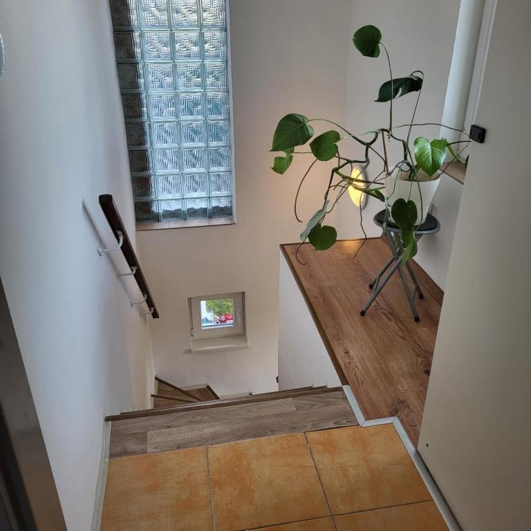 Apartman ,,Rokytka" Прага Екстериор снимка